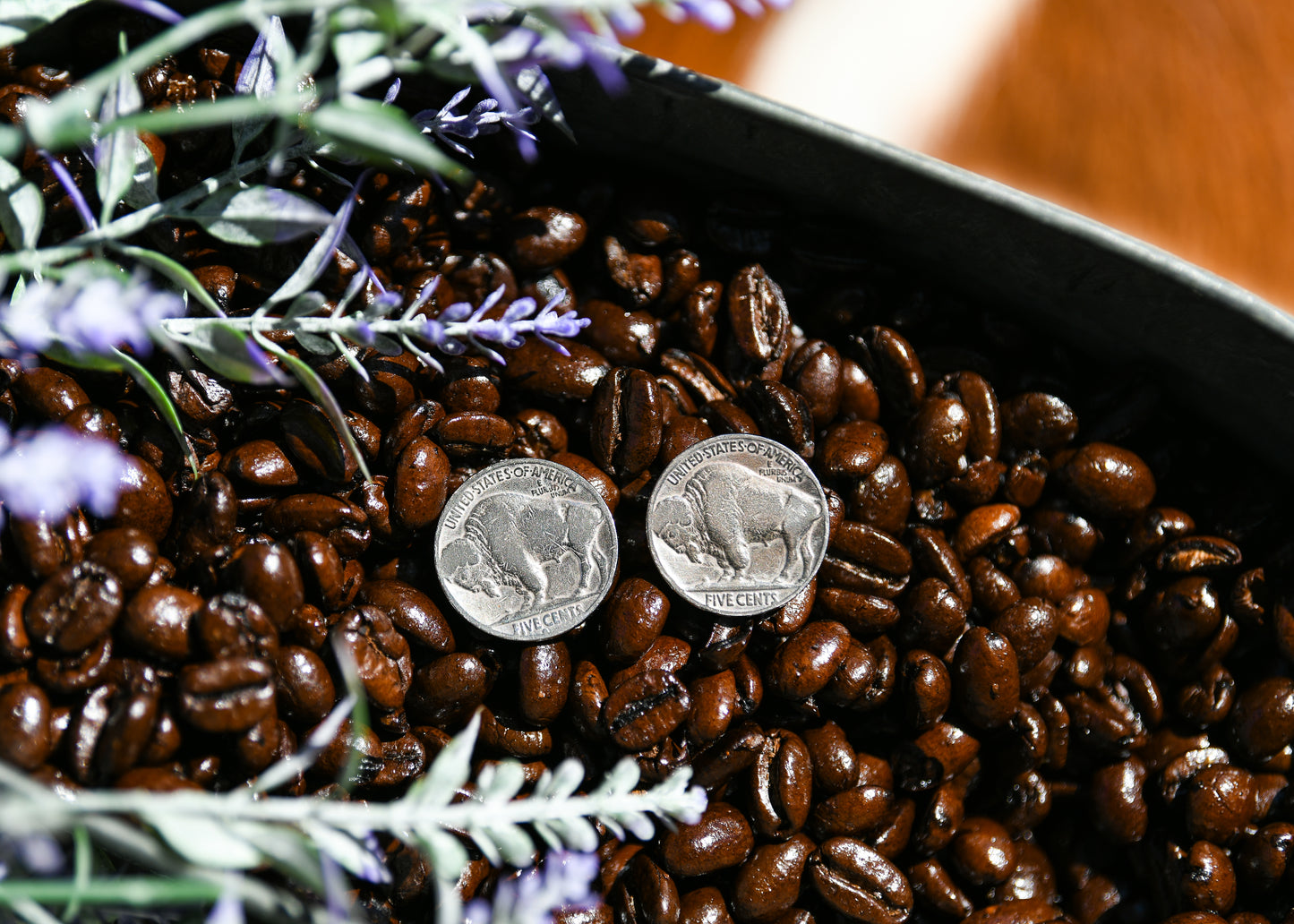 Buffalo Nickel Studs